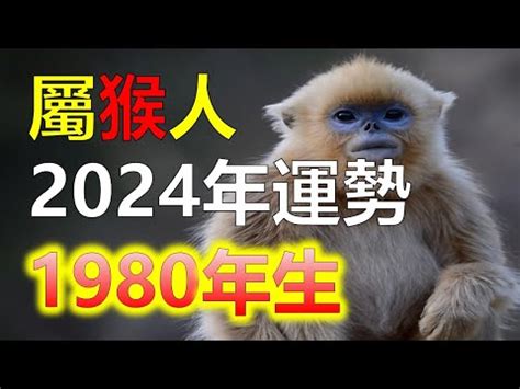 1980猴五行缺什麼|【1980 五行】1980年生肖猴的五行是什麼？80年出生。